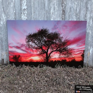 Magenta Sunset Tree Photography 16x24 Metal Print Country Scenery South Dakota Sky Mother’s Day Gift for Mom her by Nicole Heitzman