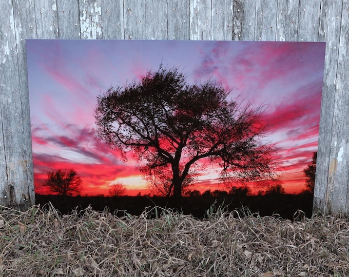 Magenta Sunset Tree Photography 16x24 Metal Print Country Scenery South Dakota Sky Mother’s Day Gift for Mom her by Nicole Heitzman