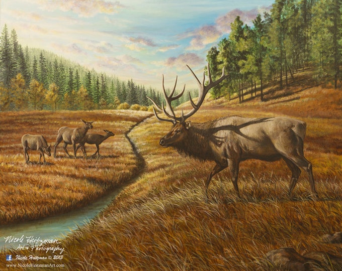 Father's Day gift for Dad Elk Print Elk Art Elk Painting Pleasant Valley Elk Hunting Scene Black Hills Limited Edition Canvas print Heitzman