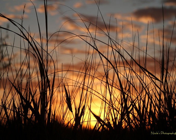 Prairie Grass Sunset photography Photo Print Gift for mom birthday gift for women Country Decor South Dakota Photography by Nicole Heitzman