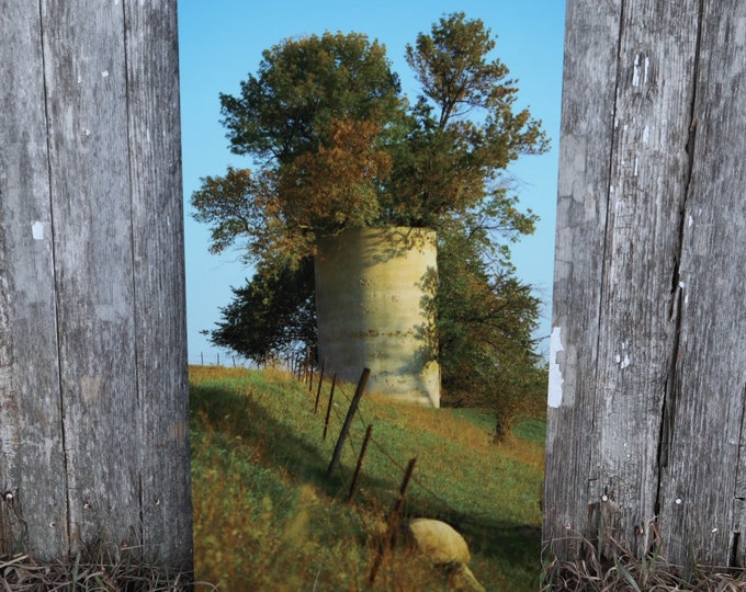 Tree Photography Silo Photo Rural Scenery Country Decor Gift for Mom her South Dakota Farm scenery 15x30 Metal Print photo Nicole Heitzman