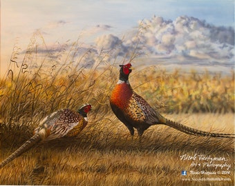 Pheasant Hunting Father's Day Gift Pheasant Painting Heartland Ringnecks Gift for Dad Ring-necked Pheasant Art Wildlife Print by Heitzman