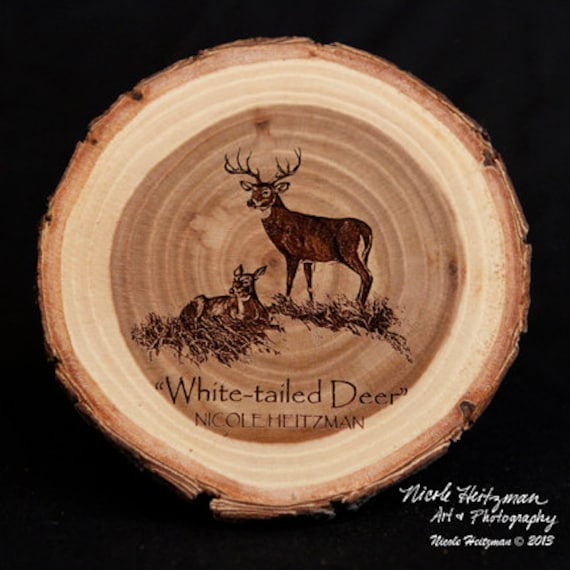 Father's Day Gift For Men Deer Coaster Art Man Cave Decor Wildlife Cabin Lodge White-Tailed Wood