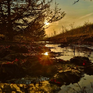 May include: A landscape photograph captures a serene sunset over a stream. The sun's rays burst through the trees, reflecting in the water. The foreground features muddy banks with scattered leaves, while the background shows a grassy hill and a partly cloudy sky.