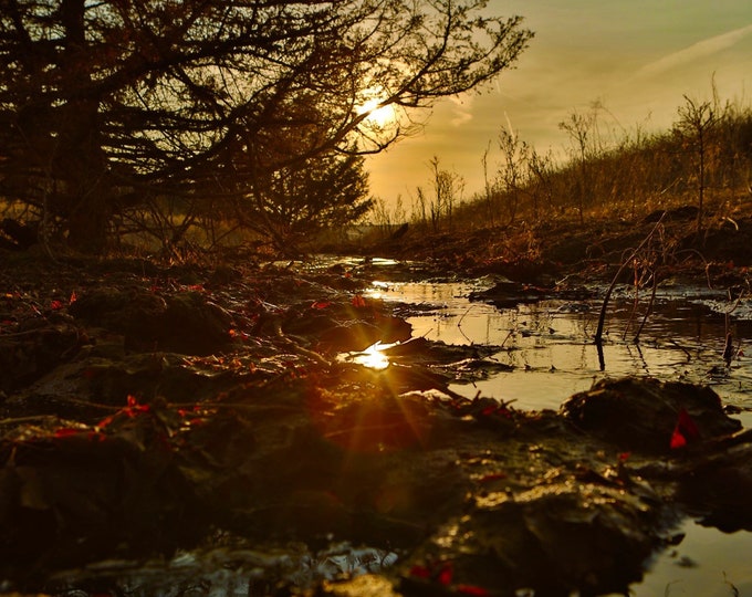 South Dakota Spring Stream Sunset Reflection Photography Metal Print Country Scenery Sun Rays Photo Housewarming gift by Nicole Heitzman