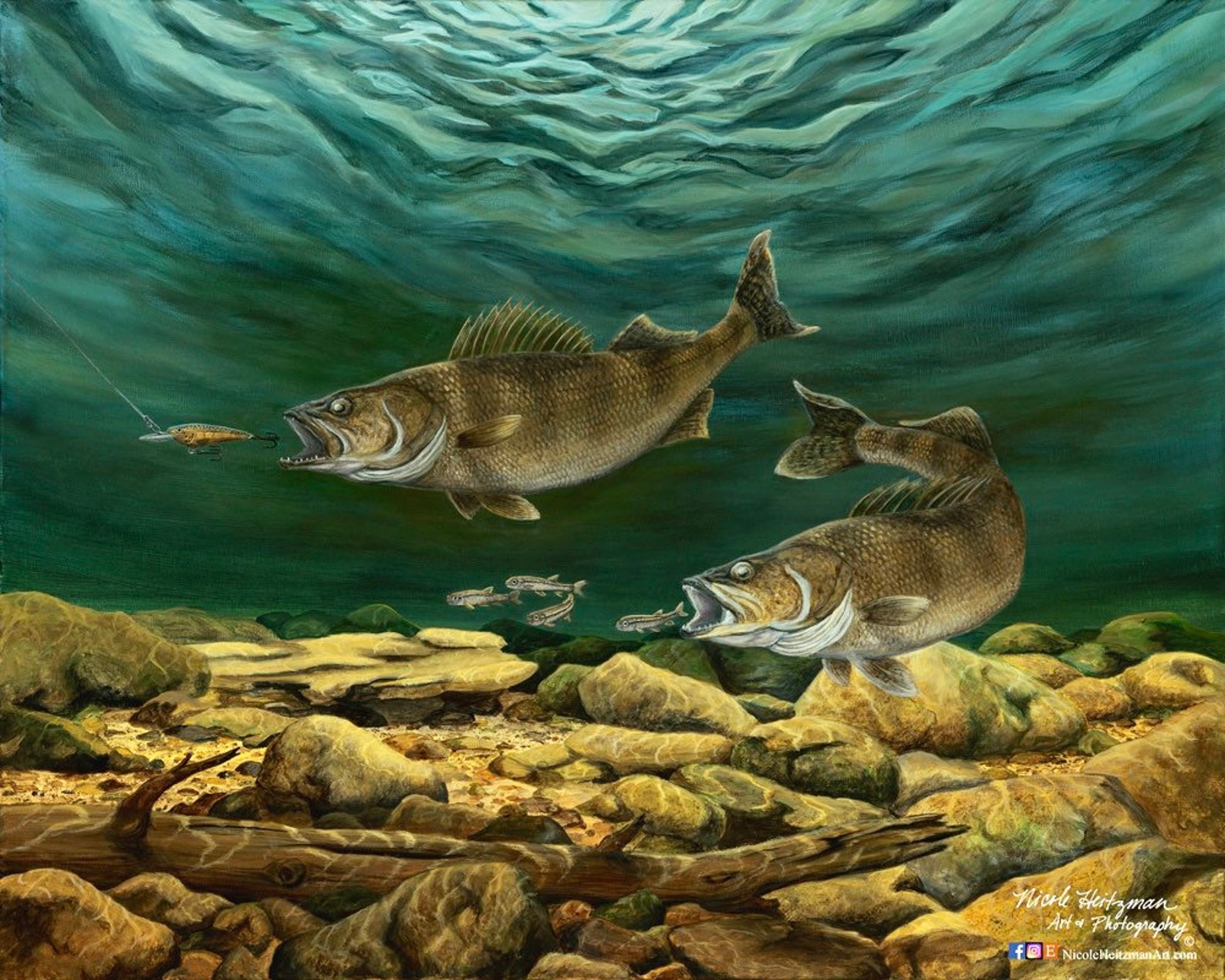 Anticipated Catch Walleye Print Fish Art Walleye Painting Gift - Etsy