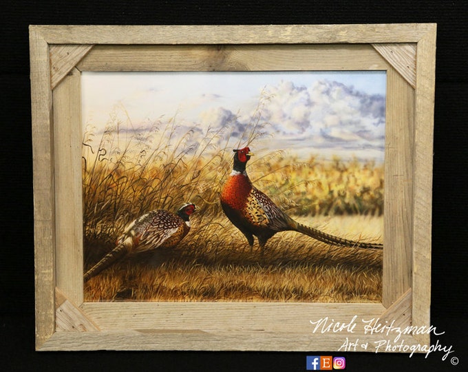 Heartland Ringneck Pheasant Painting Art Christmas gift for Dad Father's Day gift for men hunter gift pheasant framed print Nicole Heitzman