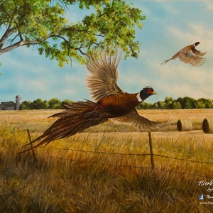 Pheasant Print Back Forty Pheasant Painting Gift for Men Pheasant Art Pheasant Hunting print Back Forty by Nicole Heitzman