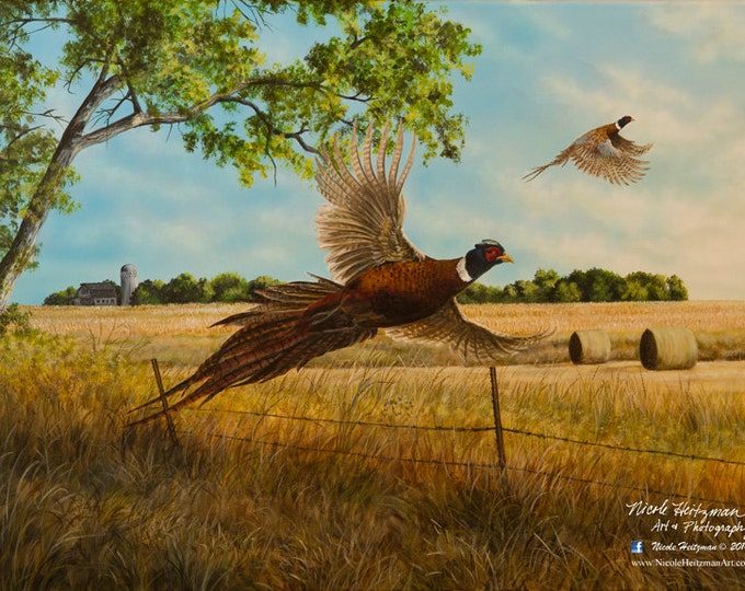 Pheasant Print Back Forty Pheasant Painting Gift for Men Pheasant Art Pheasant Hunting print Back Forty by Nicole Heitzman