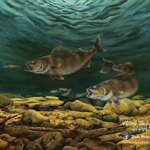 Anticipated Catch Walleye Print Fish Art Walleye Painting Gift for Dad Fishing Art River Art Gift for Men Women Limited Edition Canvas print