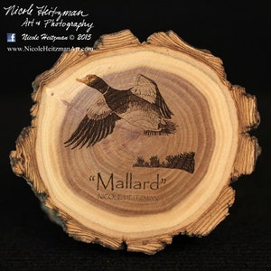 Gift for guys Mallard Art Duck Art Duck Coaster Waterfowl Art Lodge Father&#39;s Day Gift Cabin Decor Man Cave Wood Coasters by Nicole Heitzman