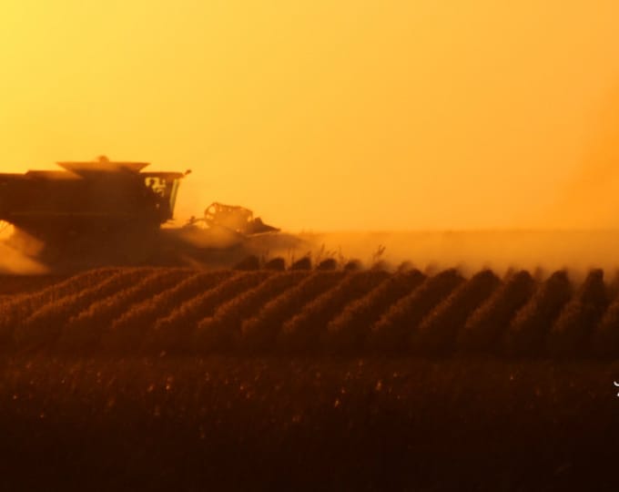 South Dakota Harvest Sunset Photography Harvest Photo Farming photo John Deere Combine Sunset Photo Metal Photo Print by Nicole Heitzman