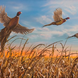 Father&#39;s Day Gift Pheasant Print Pheasant Art Pheasant Painting Pheasant Hunting Dakota Harvest Canvas Print by Nicole Heitzman