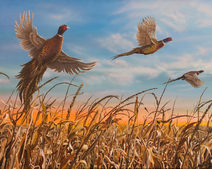 Father's Day Gift Pheasant Print Pheasant Art Pheasant Painting Pheasant Hunting Dakota Harvest Canvas Print by Nicole Heitzman