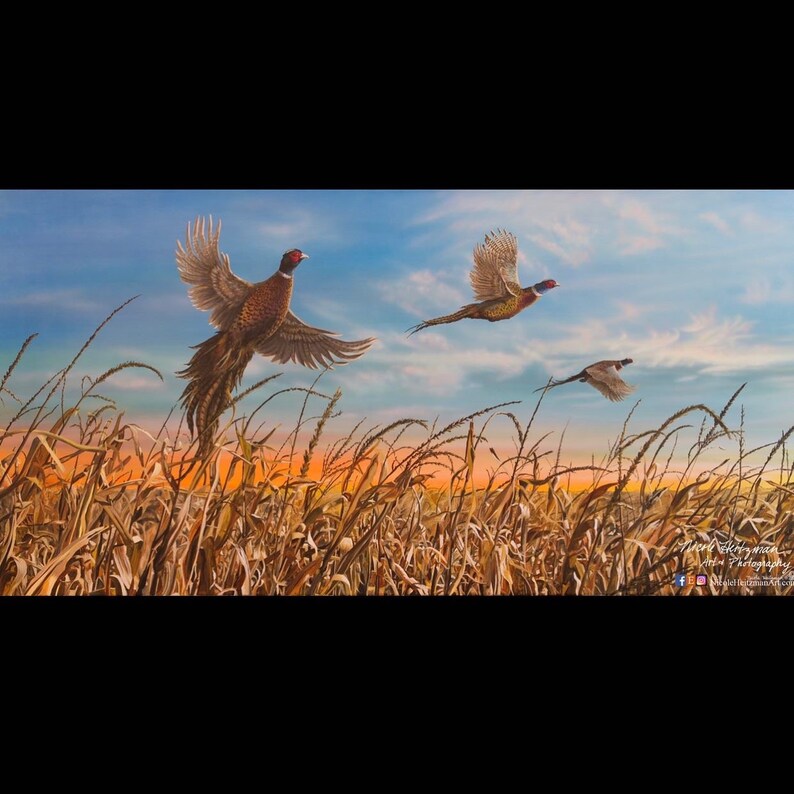 Father's Day Gift Pheasant Print Pheasant Art Pheasant - Etsy