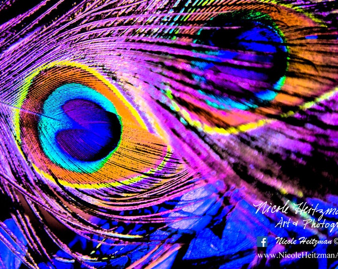 Peacock Feather Photography Peacock Photo Vibrant HDR Metal Print Peacock Art Texture Modern Photography HDR Photography by Nicole Heitzman