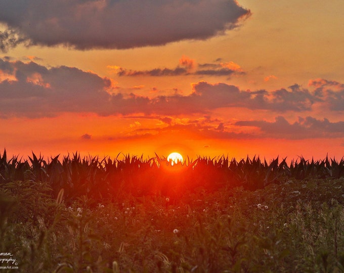 Corn Field Sunset Photography Country Decor Father's Day gift Farmer Gift for Dad Grandpa him Farm Scenery Metal Print by Nicole Heitzman