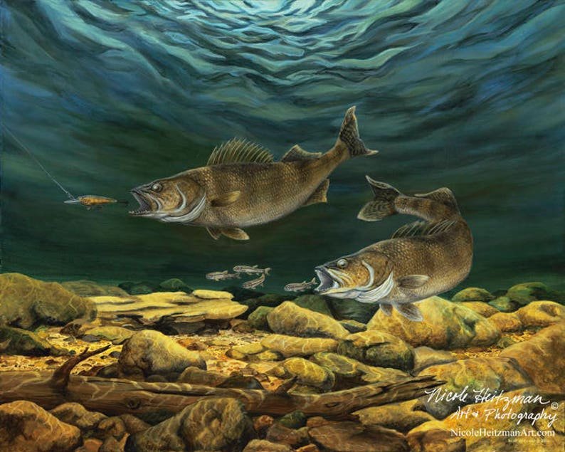 Op de afbeelding: Een schilderij van twee snoeken die onder water zwemmen. De vissen zijn bruin en groen met witte markeringen. De vissen zwemmen in een rotsachtige rivierbedding met een lokmiddel in het water. Het schilderij is gesigneerd door de kunstenaar, Nicole Heitzman.