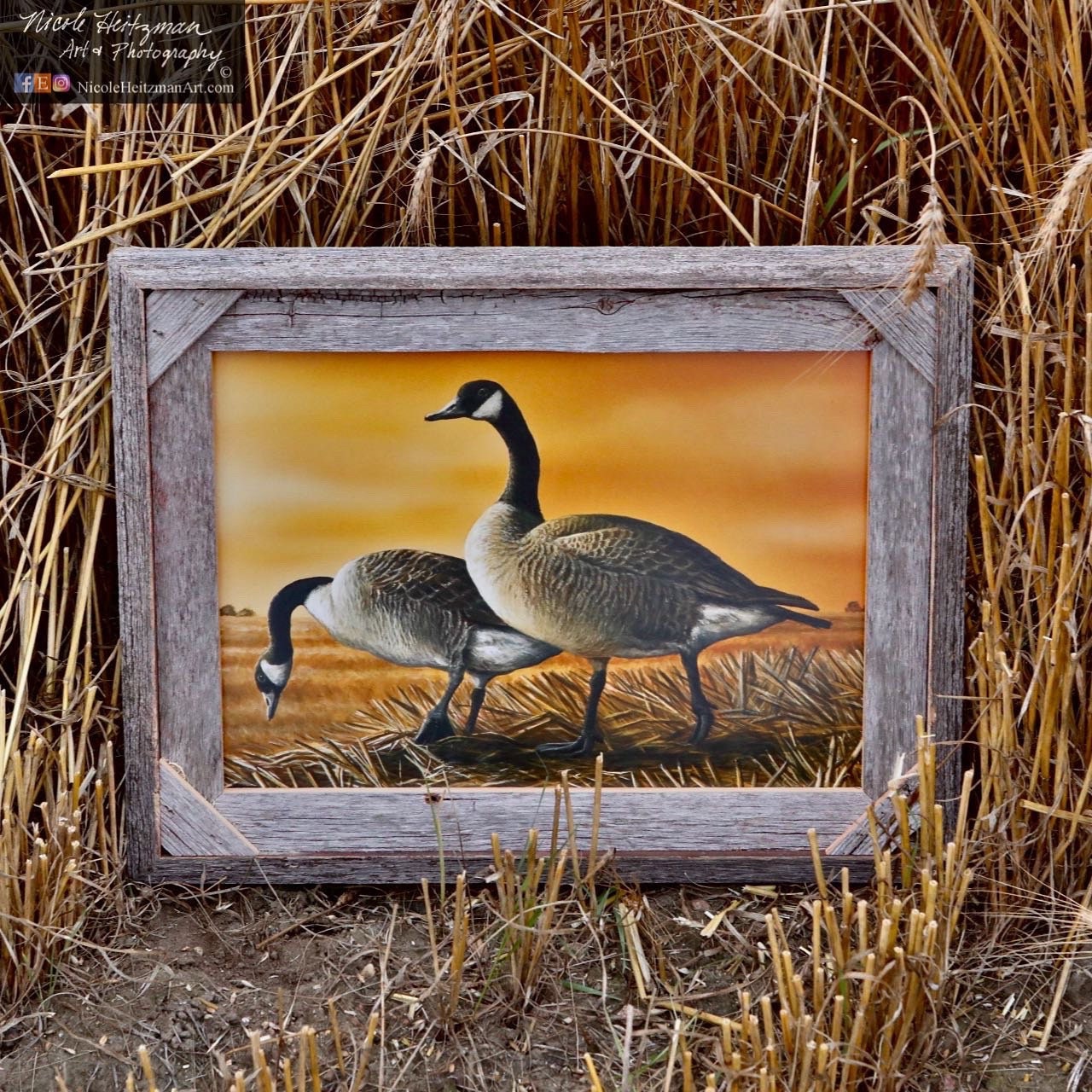 Harvest Wheat Field Canada Goose Painting Gift for men Geese Waterfowl Hunting Print Wildlife Art Decor Cabin Man Cave by Nicole Heitzman