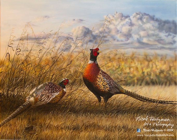 Heartland Ringnecks Pheasant Painting Gift for Dad Pheasant Art Pheasant Print Wildlife Art Print Canvas Giclee Print by Nicole Heitzman