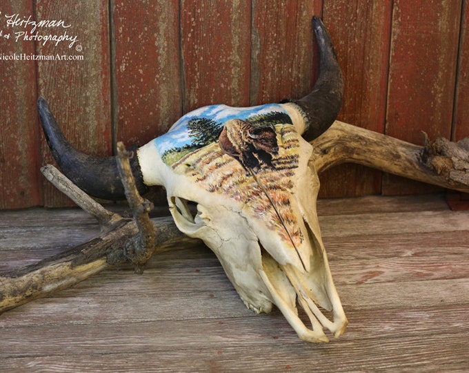 Painted Buffalo Skull Buffalo Art Original Acrylic Painting South Dakota Buffalo painting American Bison Art skull Decor by Nicole Heitzman