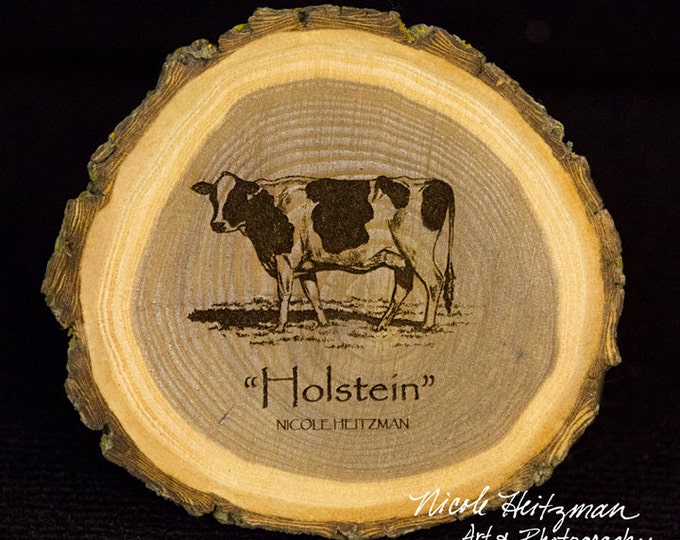 Father's Day Gift for Men Cattle Art Holstein Cow Coaster Wood Art Farm Decor Dairy Cattle Man Cave  Holstein Wood Coasters Nicole Heitzman