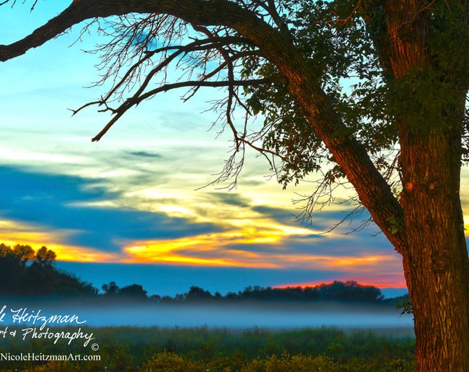 Foggy Sunset Photography Metal print Scenic Photo Spring scenery Summer HDR Photography Cottonwood trees Fog Photo & Sky by Nicole Heitzman