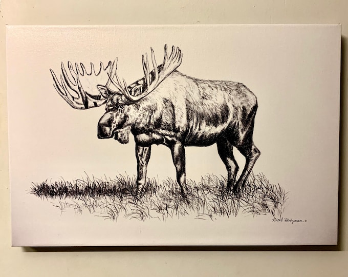 Moose Art drawing Black and White Canvas giclee Print Wildlife art Father's Day gift for Dad men Lodge Cabin Art Man cave by Nicole Heitzman