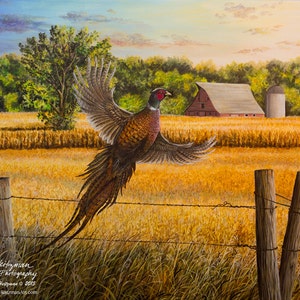 Homestead Heritage Farm Painting Gift for Dad Pheasant Art Pheasant Print Wildlife Art Farm Print Canvas Giclee Print by Nicole Heitzman