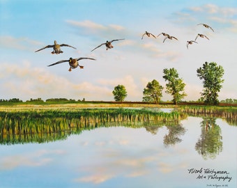 Malowanie Kaczki Krzyżówki Prezent dla mężczyzn Sztuka Kaczki Krzyżówki Wydruk Kaczki Sztuka Dzikiej Przyrody Wydruk Płótno Giclee Wydruk Nicole Heitzman