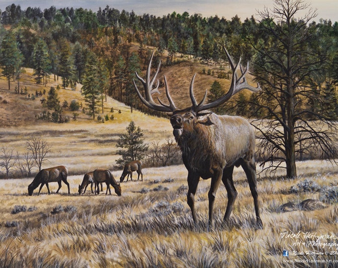 Elk Print Imperial Majesty Elk Art Elk Painting Elk Hunting Imperial Majesty Canvas Print Gift for Dad Black Hills Scenery Nicole Heitzman