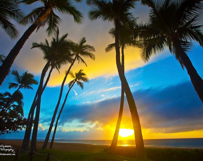 Maui Sunset Hawaii Photo Palm Trees Tropical scenery Ocean photography Kaanapali beach decor Lahaina Ocean Metal Print by Nicole Heitzman