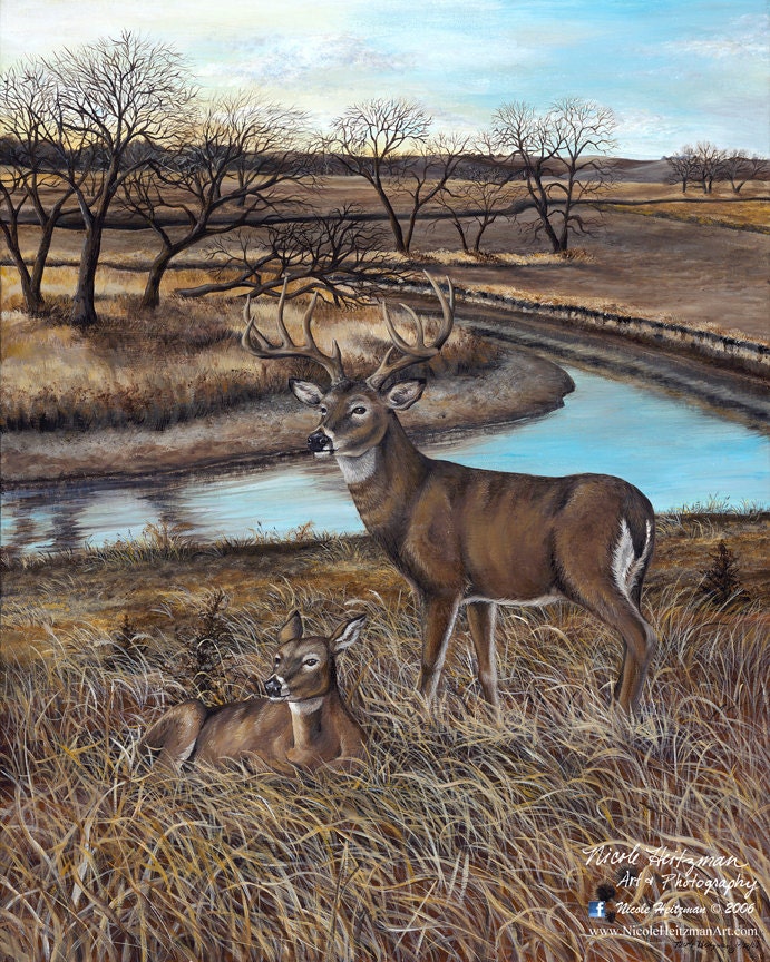 Art the River's Edge Gift for men White-tailed Deer Print Deer Art