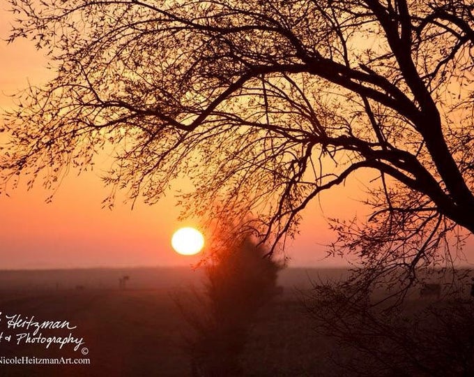 Tree Sunset photography tree silhouette spring Photo Print Gift for mom birthday gift for her women Country Decor South Dakota by Heitzman
