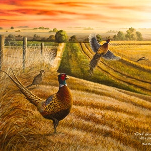 Gift for Dad Pheasant Print Pheasant Art Pheasant Painting Pheasant Hunting Wildlife Art Rooster Road Canvas Print by Nicole Heitzman