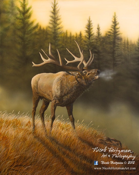bear,Lodge Cabin Woodland South Dakota 4 Wildlife coasters Elk