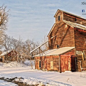 Old Mill Elevator Photography Barnwood winter Snow Scene Aspen Trees Birch Trees Gift for men Rustic decor Farm scene by Nicole Heitzman