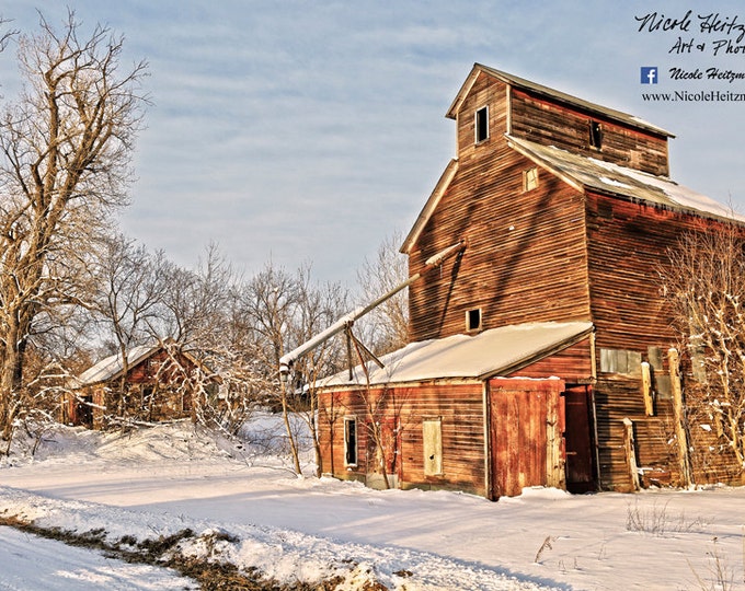 Old Mill Elevator Photography Barnwood winter Snow Scene Aspen Trees Birch Trees Gift for men Rustic decor Farm scene by Nicole Heitzman