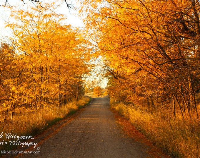 Fall Photography Autumn Scenery Photo Canvas Art block Christmas Gift for men women Milltown South Dakota Photography by Nicole Heitzman