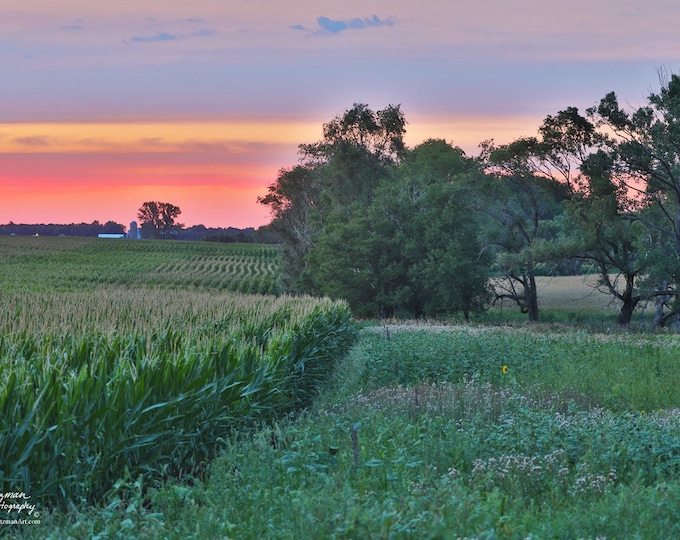 Corn Field Sunset Photography Country Decor Father's Day gift Farmer Gift for Dad Grandpa him Farm Scenery Metal Print by Nicole Heitzman