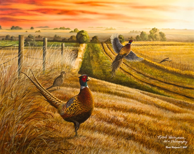 Pheasant Hunting Father's Day Gift Pheasant Painting Rooster Road Gift for Dad Ring-necked Pheasant Art Wildlife Print by Nicole Heitzman