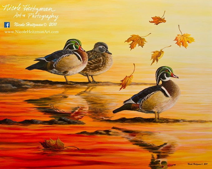 Autumn Reflections Wood Duck Painting Gift for men Wood Duck Art Duck Print Wildlife Art Waterfowl Print Canvas Print by Nicole Heitzman