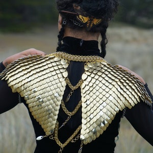 May include: A person wearing a black outfit with a gold chainmail collar and matching shoulder pieces. The shoulder pieces are shaped like wings and are made of small, overlapping scales. The person is also wearing a hairpiece with a butterfly design.