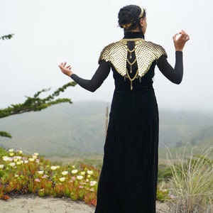 May include: A woman wearing a black velvet dress with a gold chainmail collar and a gold crown stands with her arms outstretched in front of a foggy landscape.