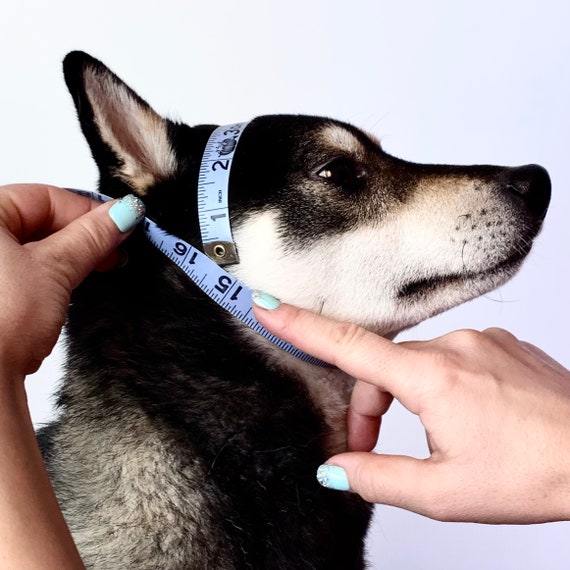 dog neck protector
