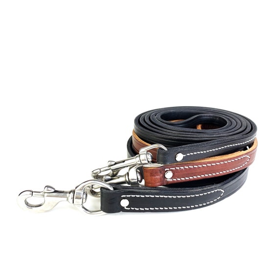 professional dog leash
