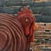 RoosterAlleyDesigns