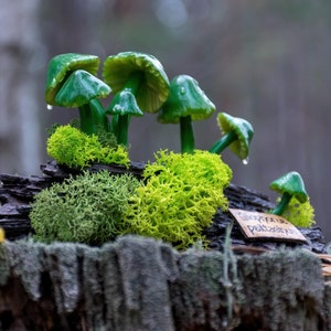 Green mushroom figurine - Lifelike nature art, Unique collectible, Realistic woodland, Gliophorus Psittacinus One Of A Kind sculpture gift