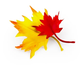 Canadian maple leaf brooch - Polymer clay fall accessories, Red and yellow autumn leaves jewelry gift for her, Wearable art, Botanic pins