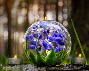 Bluebells Glas Terrarium Kerzenhalter, Real Touch Blumen in rundem Glaskerzenhalter, Einzigartiges Hochzeitsgeschenk, Teelichtkerzendekoration